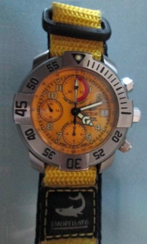 P - OROLOGI -  - SECTOR  Diving Team 1000 Chrono Professional	