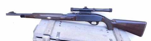 E - ARMI ATTIVE -  - CARABINA REMINGTON Mod. NYLON 66  Cal. 22LR + OTTICA