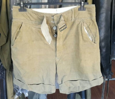I - MILITARIA STORICA -  - HEER	DAK  PANTALONI CORTI  COTONE (1)