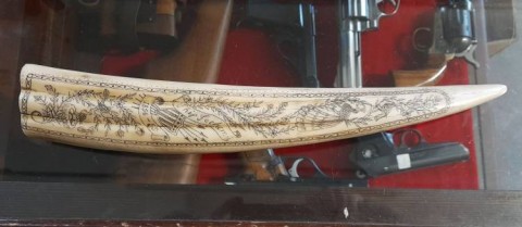 A - ANTIQUARIATO -  - Scrimshaw.   Corno inciso e dipinto.   Arte Marinara.  Sec. XX.